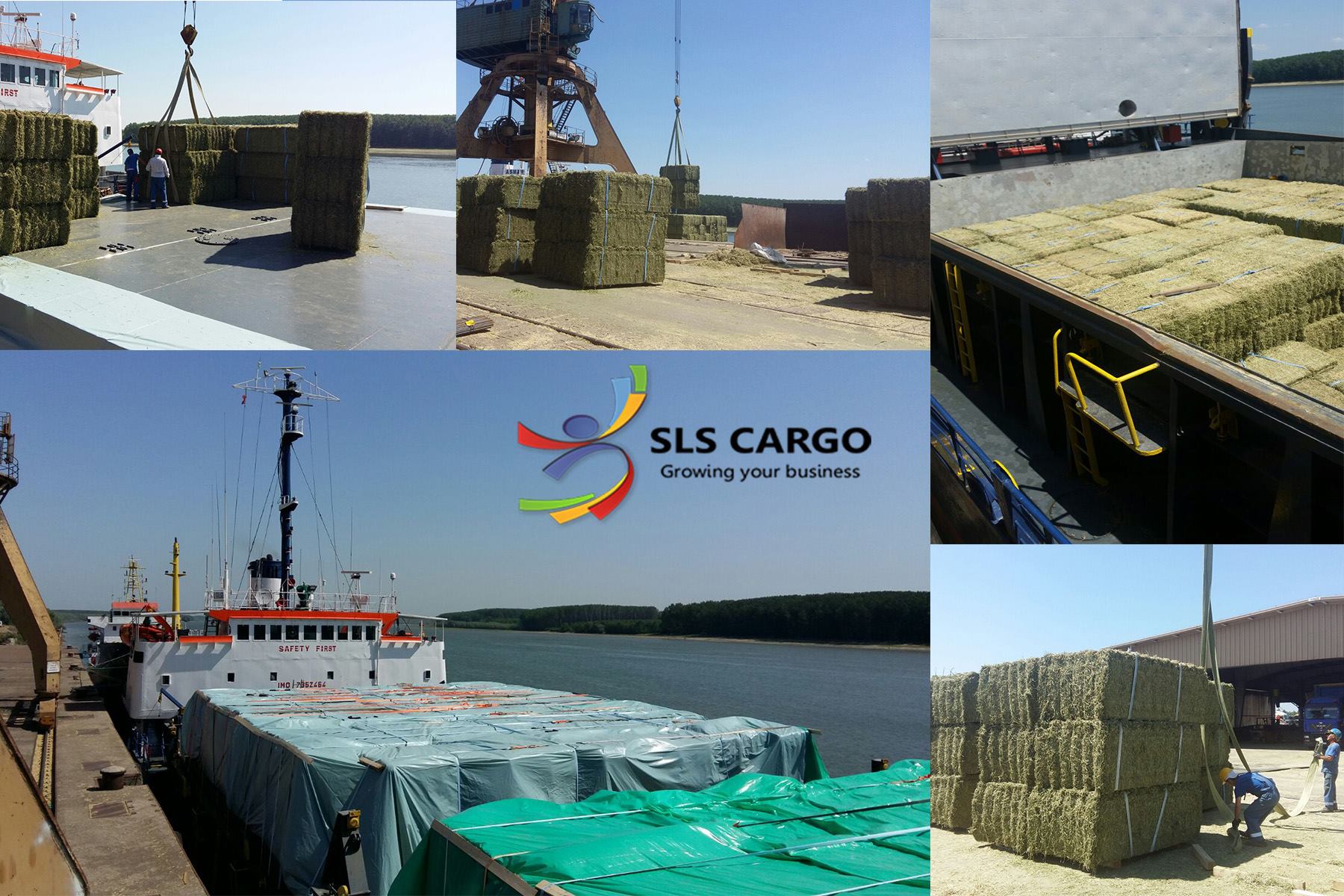 20229599_1418501121560571_8055889878434420929_o